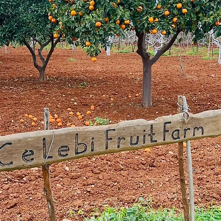 Celebi Garden - Cittaslow Retreat Resort Famagusta (Northern Cyprus)