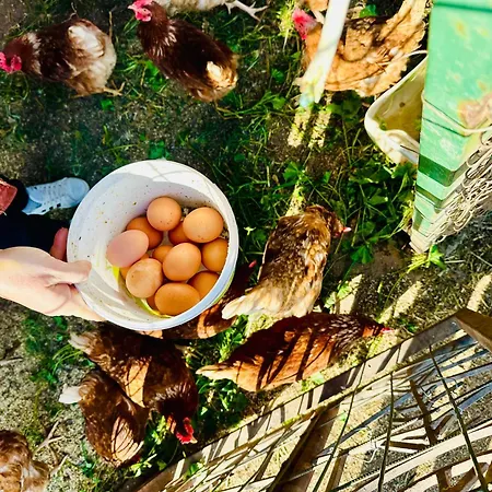 Celebi Garden - Cittaslow Retreat