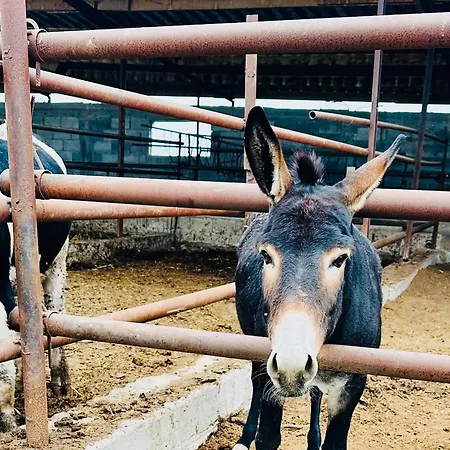 Celebi Garden - Cittaslow Retreat Üdülőközpont *