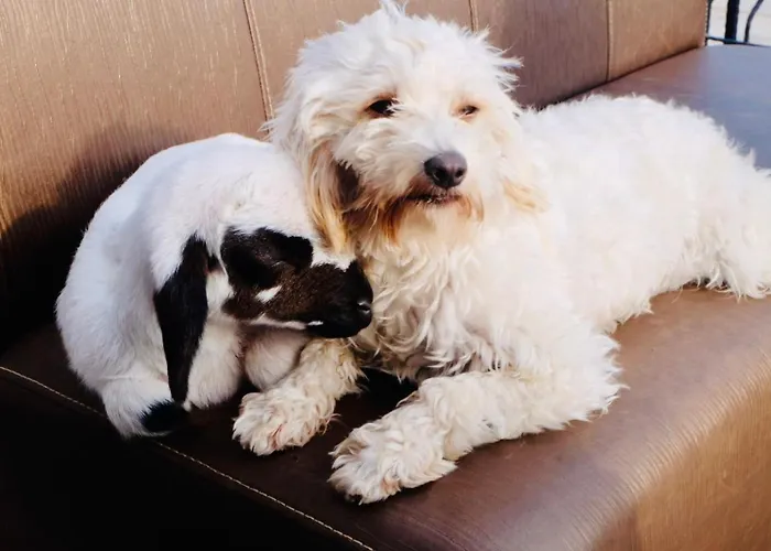 Θέρετρο Celebi Garden - Cittaslow Retreat