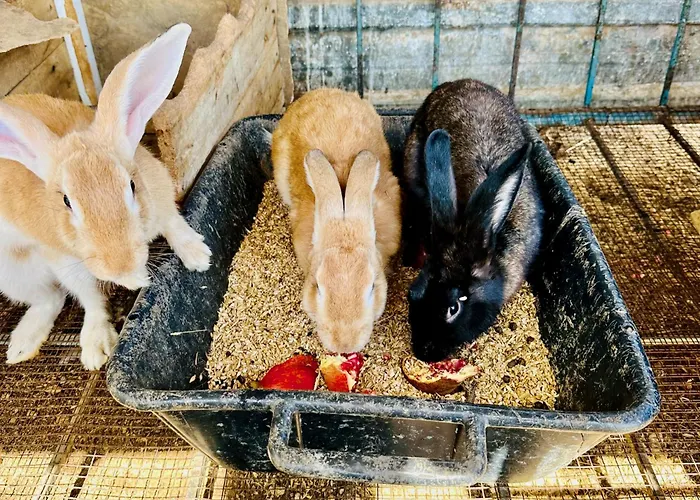 Θέρετρο Celebi Garden - Cittaslow Retreat *