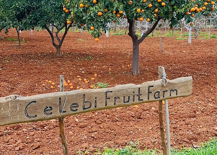 Celebi Garden - Cittaslow Retreat Θέρετρο Αμμόχωστος