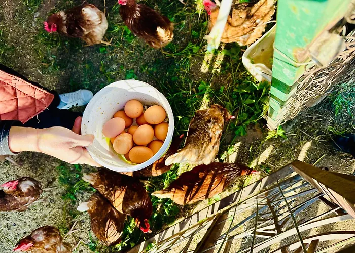 Celebi Garden - Cittaslow Retreat