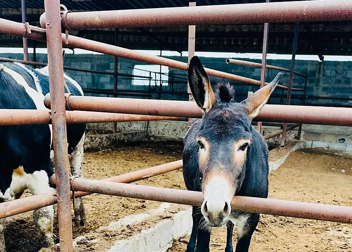 Celebi Garden - Cittaslow Retreat Θέρετρο *